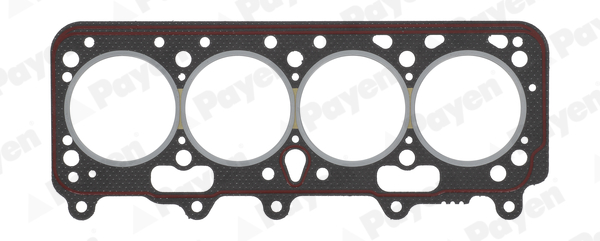 PAYEN BW980 Fiat-Pkw Silindir Kapak Contasi