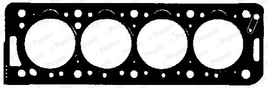 PAYEN BX960 Fiat-Pkw Silindir Kapak Contasi