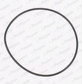 PAYEN KA845 Fiat-Pkw Su Pompa Contasi