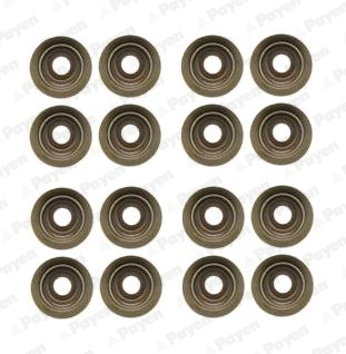 PAYEN HR5046 Supap Lastiği Ford-Peugeot-Citroen-Fiat-Volvo 03> 2.0 Tdci Dw10 16 Adet