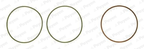 PAYEN HT5038 Gömlek Lastiği