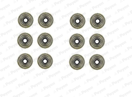 PAYEN HR5031 Land-Rover Supap Lastiği Set