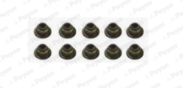 PAYEN HR5044 Land-Rover Supap Lastiği Set