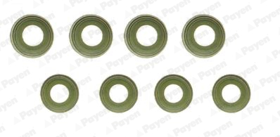 PAYEN HR635 Land-Rover Supap Lastiği Set