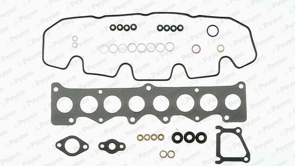 PAYEN DY470 Land-Rover Üst Takim Conta