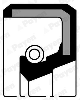 FBI-11807 Kece Eksantrik Kapak ( Peugeot   Partner 1.9d 2.0hdi )