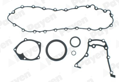 PAYEN EC5061 Renault Alt Takim Contasi