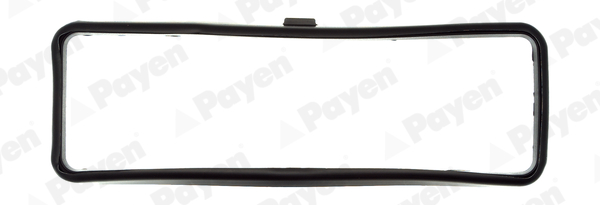 PAYEN JN936 Renault Külbütör Kapak Contasi