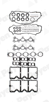PAYEN CG9770 Renault Üst Takim Contasi