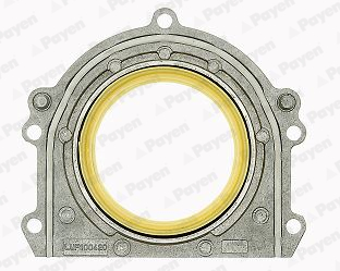 PAYEN LK5002 Rover Krank Keçesi