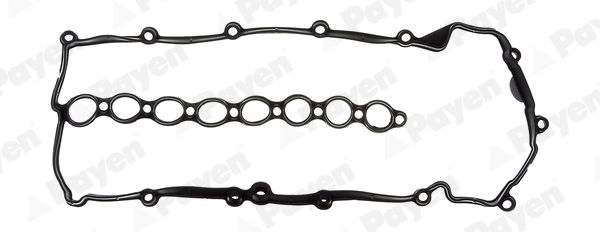 PAYEN JM5076 Rover Külbütör Kapaği Contasi