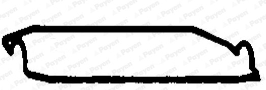 PAYEN JN744 Rover Külbütör Kapaği Contasi
