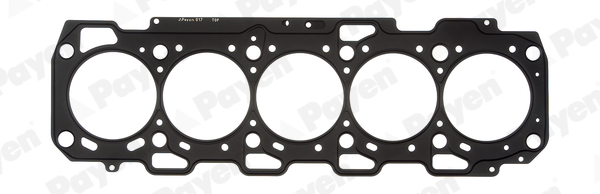 PAYEN AG7420 Silindir Kapak Contasi Fiat