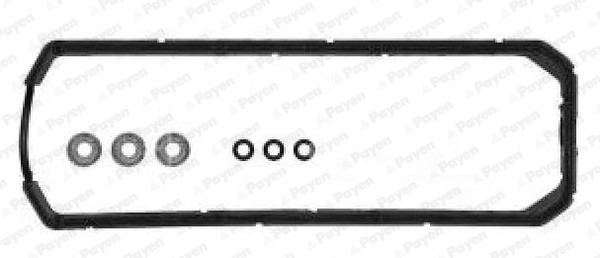 PAYEN HM5058 Vag Külbütör Kapak Conta Seti