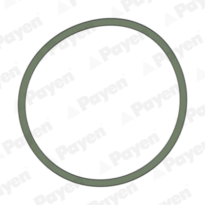 PAYEN JD5228 Vag Monifolt Contasi