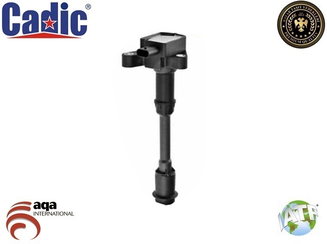 CADIC 45002066 Ateşleme Bobini Ford Kuga 1.6 Ecoboost 2013-2018