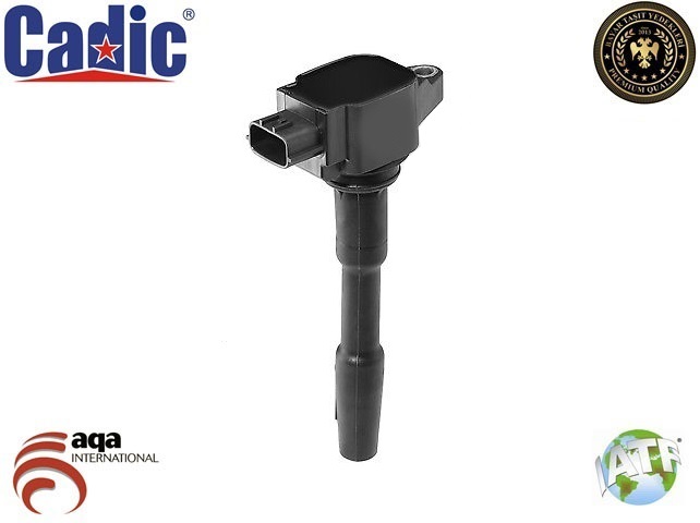 CADIC 45004428 Ateşleme Bobini Renault Captur .Kangoo.Clio Iv. Megane Iv 1.2 Tce. Dacia 1.2 Tce K.Bobin