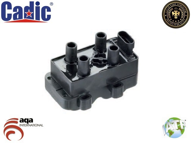 CADIC 45004701 Ateşleme Bobini Renault Clio Ii-Kangoo 1.6 98-07