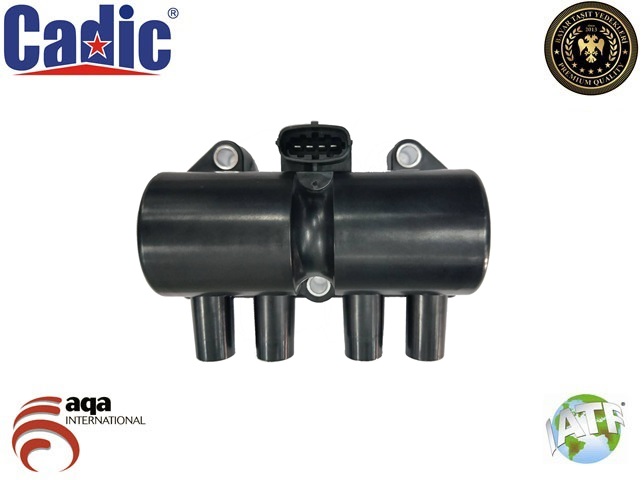 DEL-CE10001-12B1 Atesleme Bobini ( Opel   Astra G 1.6 )
