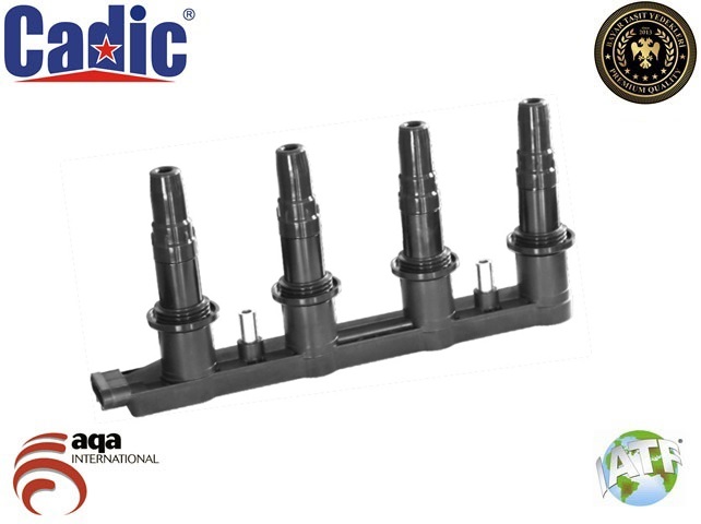BRU-ZSE198 Atesleme Bobini (Chevrolet  Aveo \ Cruze  1.6 09-/Opel   Astra J \ Mokka 1.6 09-)