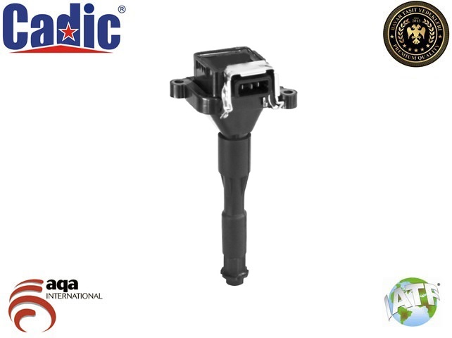 BR ZS302 Atesleme Bobini  E36-E46-E38-E39-X5 E53