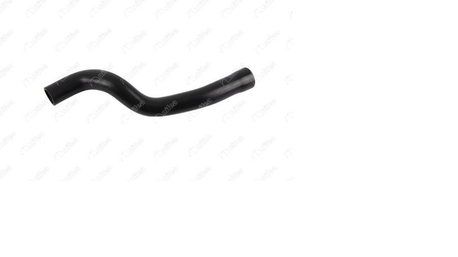 Doblo Bravo 1.6 Mtj Stilo 1.9 Aks Kafasi
