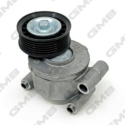 GTS T38318 V Kayis Gergi Rulmani  Focus/C-Max