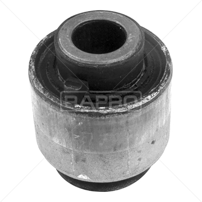 RAPRO 53179 Arka Salincak Baglanti Denge Kolu Burcu P407 04>10 P508 10>18 C5 08>16 C6 06>12