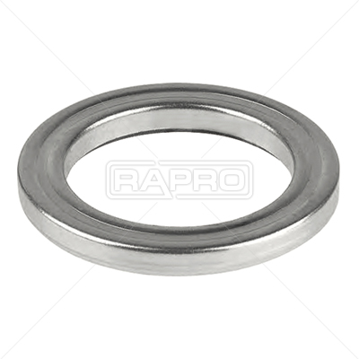 RAPRO 55202 Amortisör Rulmani Citroen Jumper Ii