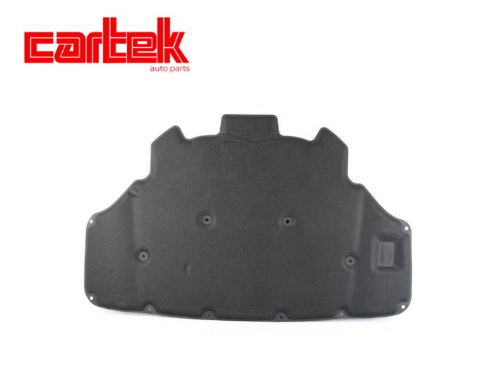 CARTEK TPBMW221 Motor Kaput Sungeri Bmw G20 Lci 17>
