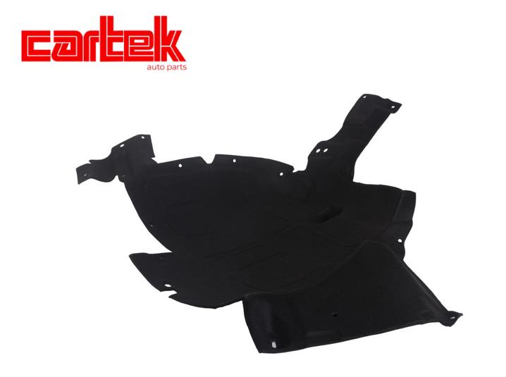 CARTEK TPBMWSM225 Camurluk Davlumbazi On Sag Arka Taraf Bmw X6 F16 13>