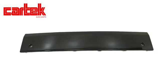 CARTEK TPBMW629 Tampon Kaplamasi Pdcli On Orta G20 Lci 21>