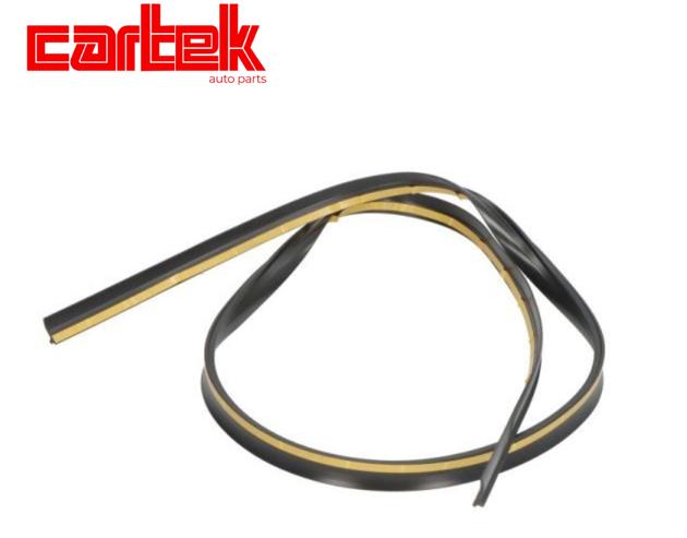 CARTEK TPBMW896 Cam Fitili On Bmw F30 Lci 11>