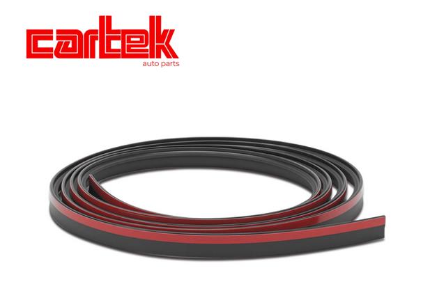 CARTEK TPBMW157 Cam Fitili On Bmw F20 Lci 11>