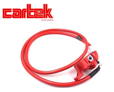 CARTEK TPBMWST120 Aku Kablosu E60 Arti