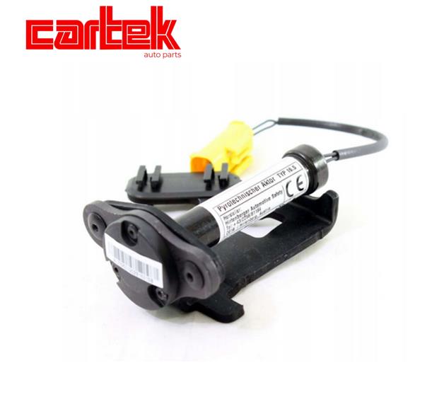 CARTEK TPBMWSM190 Kaput Aktoru Sol Bmw F15 16>