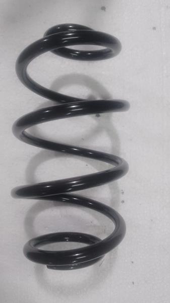 BORSAN 624 Helezon Yayi Arka Renault Clio Iii 05>