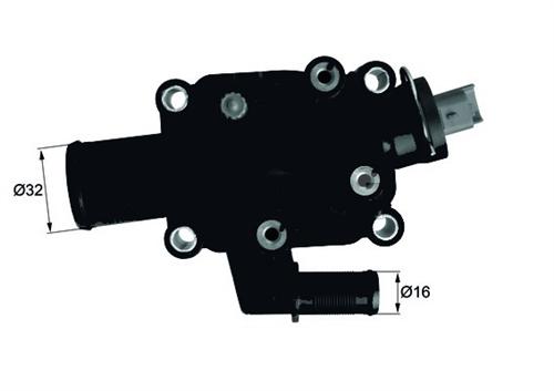 SWG-62934977 Termostat Komple (Citroën
