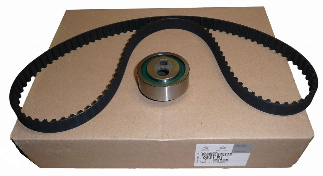 PSA 0831.R1 Eksantrik Gergi Kiti 114x170 P205-P306-P405-P406-P605-Xantia-Bx