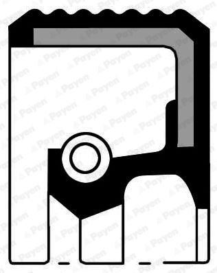 PAYEN NF835 Krank Arka Keçesi R9-R11-R19-R12 Toros-Clio-Mgn-Scenic-Kng-Twng 80x100x8