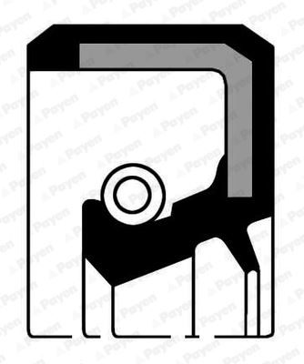 PAYEN NF722 Krank Kapak Keçesi R12-R9-R11-R19 1.6