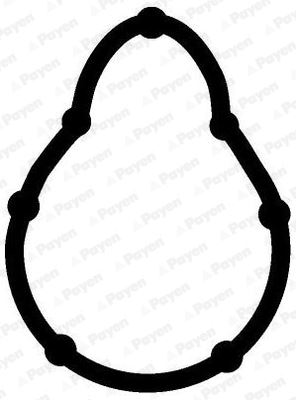 PAYEN JD5315 Emme Manifold Contasi Megane I 96>03 Kangoo 97> Clio Symbol I 00> Sandero 08> Logan 06> Solenza 03> 1.4 E7j K7j 1.6 K7m