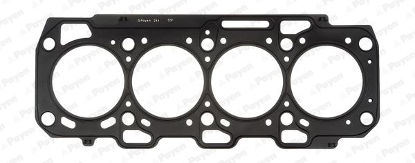 PAYEN AH6880 Skc Fiat Doblo 10> Linea 07> Bravo Ii 07>14 Egea 15> Alfa Romeo Giulietta 10>19 Mito 11> 1.6d Mtj 0.82mm
