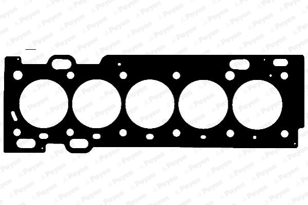 PAYEN AE5560 Skc Volvo S60 2.5t 2.5t Awd R2.5t Awd 04-10 V70 2.5t 03-07 R2.5t Awd 04-07 Xc90
