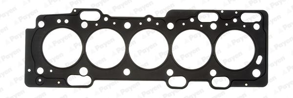 PAYEN AE5260 Skc 1 Delik Volvo S40 2.4d5 06-10 S60 2.4d D5 01-10 S80 2.4d D5 01-11 C30 06-12 C70 2.4d D5 V50 2.4tdi D5 06-10 V70 01-09 Xc60 D5 08-09 Xc70 2.4d5 01-07 D4 07-16 Xc90 D3 D5 02-2014