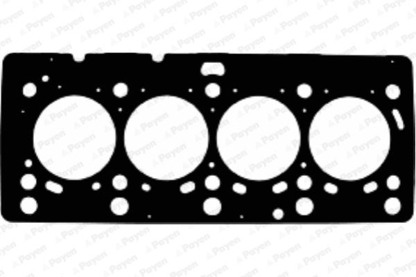 PAYEN AE5200 Silindir Kapak Contasi Clio Ii 98>05 Kangoo 05> Megane Ii 02>08 1.5 Dci