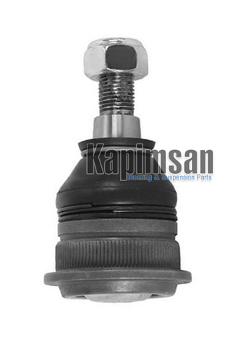 KAPIMSAN 10-04900 Rotil Alt Sağ-Sol Hyundai Accent 95-05 / Elantra 96-00 / Getz 02-> / İ20 08-> / İ30 11-> / Matrix 01 -> / Sonata 94-98 / Kia Cerato 04-> / Rio 11-> / Picanto 04-11 / Mitsubishi Carisma / Lancer 03-> /