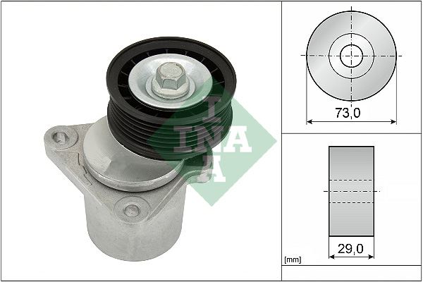 INA 534012820 V Kayiş Gergisi Komple Ford Mondeo-Transit 01> 2.0 Tdci Önden Çeker / 2.3 16v 00> Volvo S80 Ii 08>12 V70 Iii 07>12