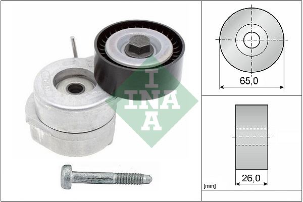 INA 534060710 Alternatör Rulmanli Kasnak (Kütüklü) Doblo-Palio-Albea-Fiorino-Nemo-Bipper-Punto-Ford Ka 1.3mtj
