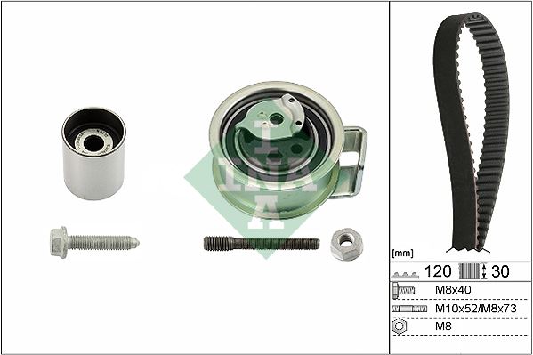 INA 530017610 Eksantrik Gergi Kiti 120x300 Bora-Golf-Passat 98-00 -A6-Arosa 00-05 1.9tdi-Polo 1.4 Tdi 99-01